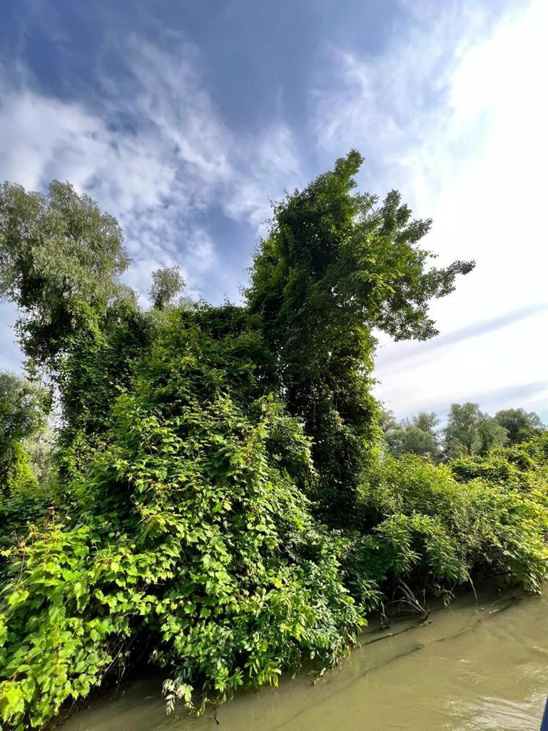 Vila Lac Murighiol Zewnętrze zdjęcie