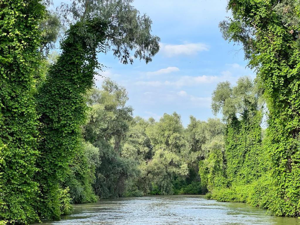 Vila Lac Murighiol Zewnętrze zdjęcie